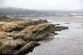 USCA01130128 Point Lobos State Reserve