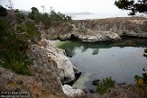 USCA01130132 Point Lobos State Reserve