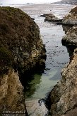 USCA01130139 Point Lobos State Reserve