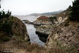 USCA01130141 Point Lobos State Reserve
