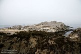 USCA01130142 Point Lobos State Reserve