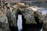 USCA01130146 Point Lobos State Reserve