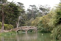 Golden Gate Park