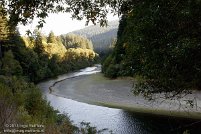 Humboldt Redwoods State Park