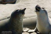 Piedras Blancas