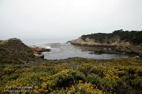 Point Lobos State Natural Reserve