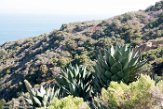 USCA1171650 Cabrillo National Monument