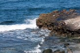 USCA1171625 La Jolla