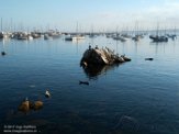 USCA1170640 Monterey haven