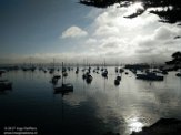 USCA1170642 Monterey haven