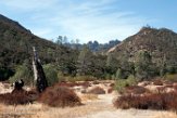 USCA1171144 Pinnacles National Park