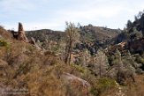 USCA1171163 Pinnacles National Park