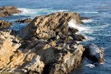 USCA1170524 Point Lobos State Reserve