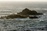 USCA1170543 Point Lobos State Reserve