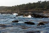 USCA1170559 Point Lobos State Reserve