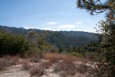 USCA1171797 San Jacinto Mountains