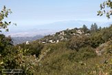 USCA1171803 San Jacinto Mountains
