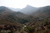 USCA1172075 Sequoia and Kings Canyon National Park