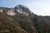USCA1172077 Sequoia and Kings Canyon National Park