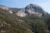 USCA1172081 Sequoia and Kings Canyon National Park