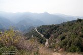 USCA1172082 Sequoia and Kings Canyon National Park