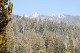 USCA1172111 Sequoia and Kings Canyon National Park