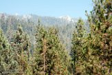 USCA1172112 Sequoia and Kings Canyon National Park