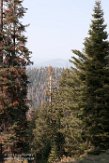 USCA1172128 Sequoia and Kings Canyon National Park