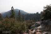 USCA1172131 Sequoia and Kings Canyon National Park
