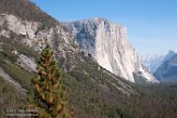 USCA1172388 Yosemite National Park (El capitan)