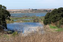 Elkhorn Slough