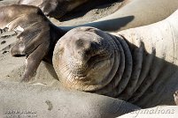 Piedras Blancas