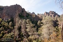 Pinnacles National Park
