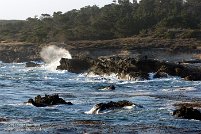 Point Lobos State Reserve