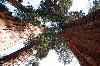 Sequoia and Kings Canyon National Park