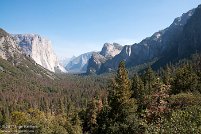 Yosemite National Park