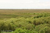 USFL2012091 The Everglades - Shark Valley