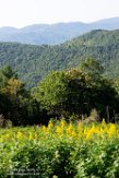 USNE1190592 Osborne Mountain View Overlook
