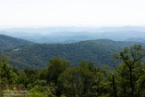 USNE1190602 Yadkin Valley Overlook
