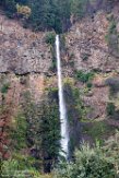 USNW1180005 Multnomah Falls
