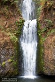 USNW1180014 Multnomah Falls