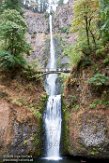 USNW1180016 Multnomah Falls