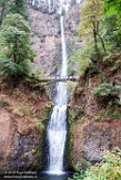 USNW1180020 Multnomah Falls