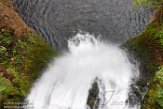 USNW1180039 Multnomah Falls