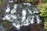 USNW1180046 Multnomah Falls