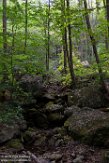 USNE1190441 Wigwam Falls trail