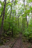 USNE1190442 Wigwam Falls trail