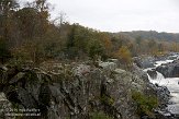 VA2014024