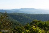 USNE1190255 Indian Run Overlook