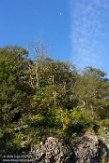 USNE1190256 Indian Run Overlook